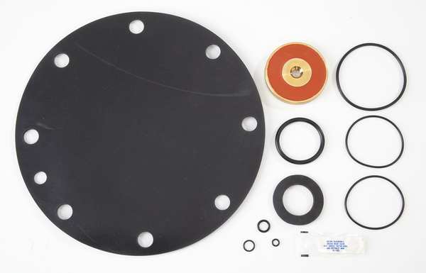 Relief Valve Repair Kit, Watts 909, 8 In