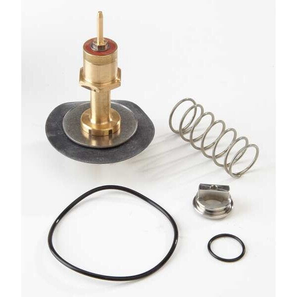 Total Relief Kit, Watts 009, 3/4 to 1 In