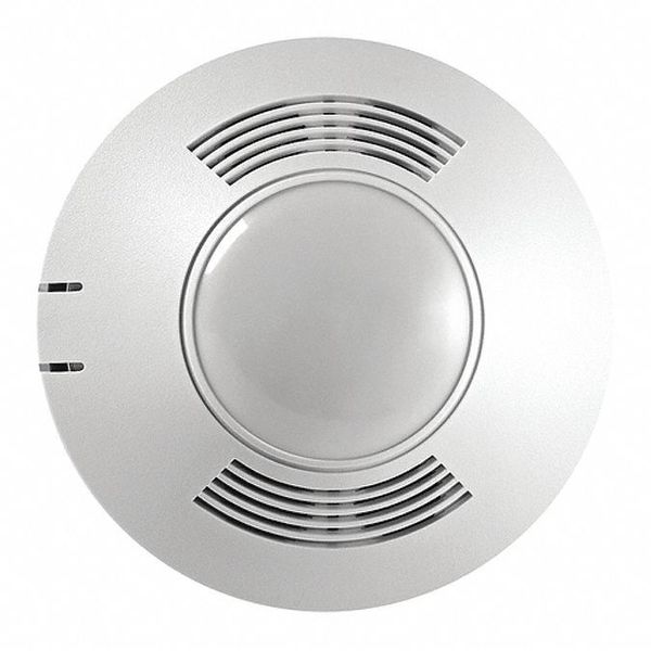 Ceiling Vacancy Dt W/Bas 500 Sq Ft