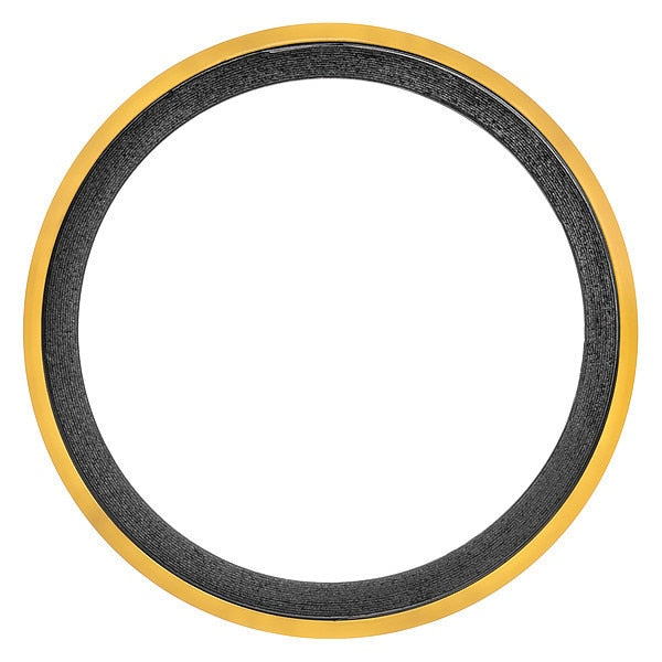 Spiral Wound Gasket with Graphite Filler, 4