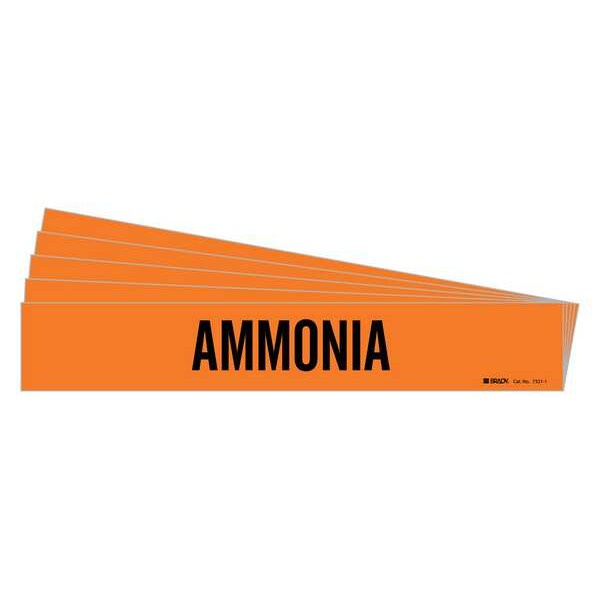 Pipe Marker, Adhesive, Black, Ammonia, PK5, 7321-1-PK