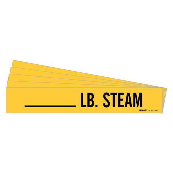 Pipe Marker, Lb Steam, PK5