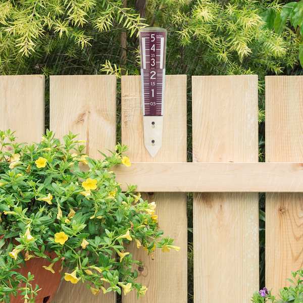 Rain Gauge