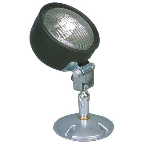 Outdoor/Food Safe Remote Emergency Head - High Lumen, 9 in Height, 6 in Width