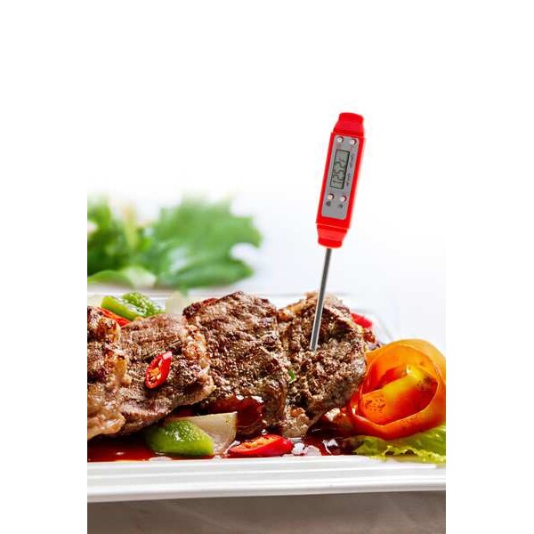 Pocket Thermometer for Food/Air/Liquids