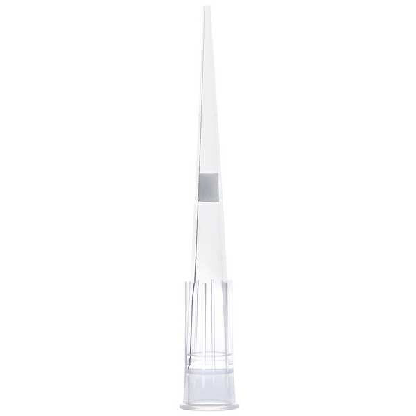 Filter Pipette Tip, Polypropylene, PK1920