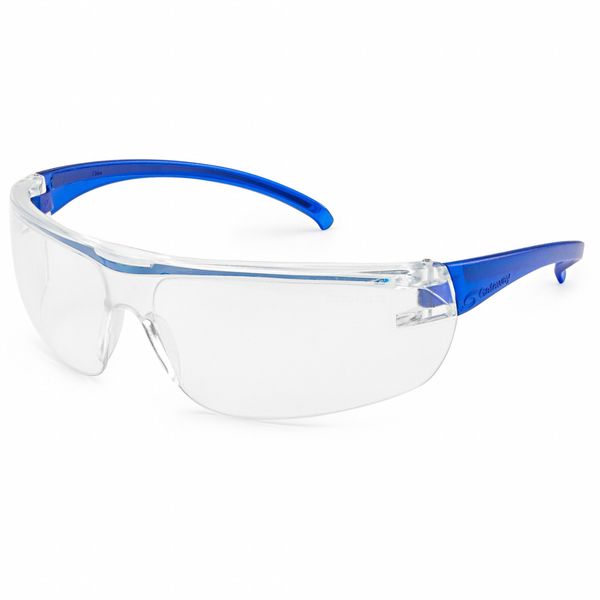 Metal Detectable Safety Glasses, Clear Polycarbonate Lens