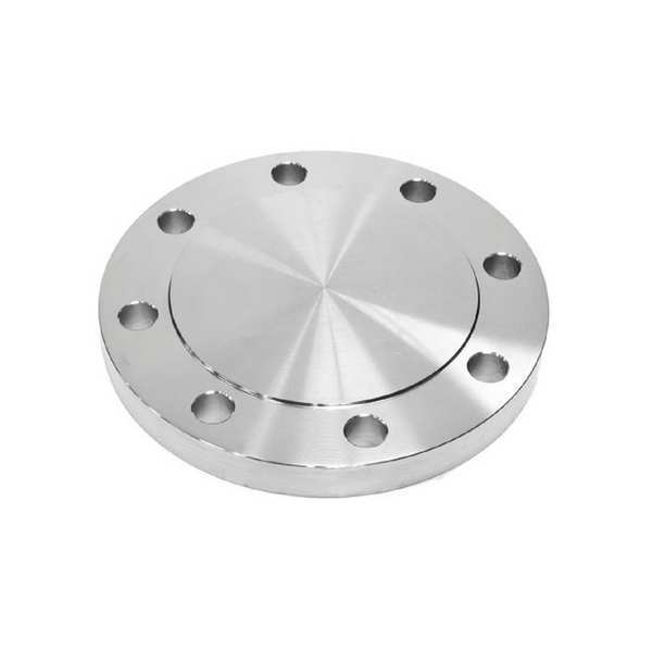 Blind Flange, 316L SS, 8