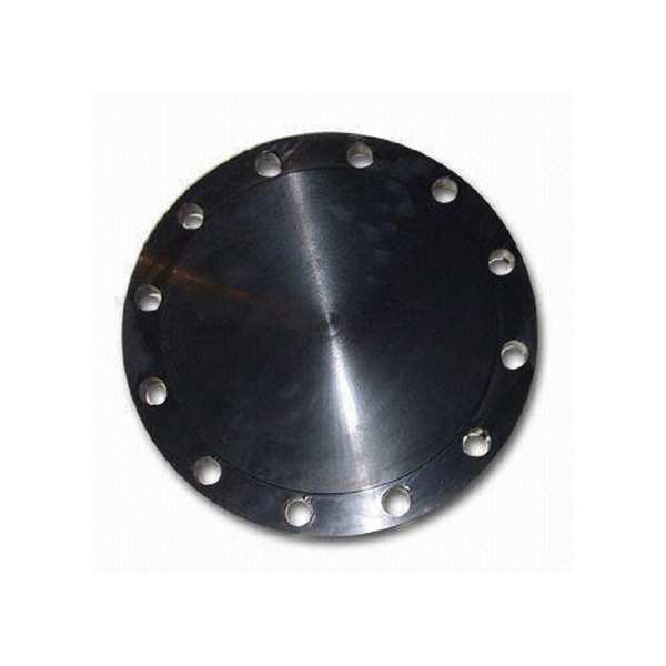 Blind Flange, Carbon Steel, 10
