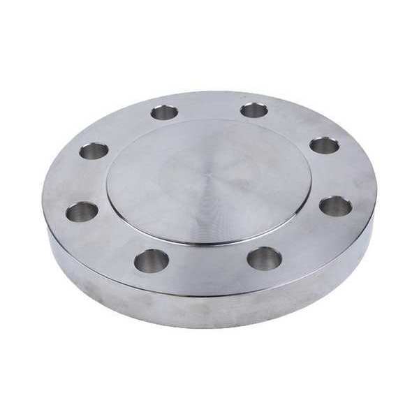 Blind Flange, 316L SS, 10