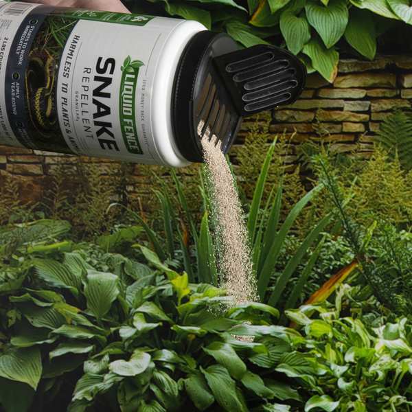 Animal Repellent, 1 qt, Granules, 9 3/8in H