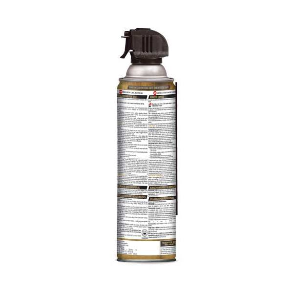 Termite Killing Foam, Aerosol, 16 oz