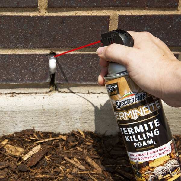 Termite Killing Foam, Aerosol, 16 oz