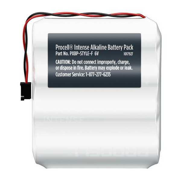 AA Disposable Battery Pack, Alkaline