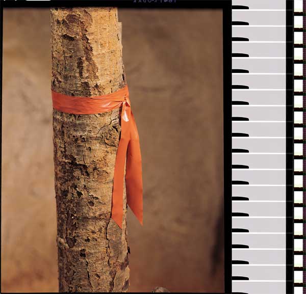 Taffeta Flagging Tape, Orange, 300ft x 1In