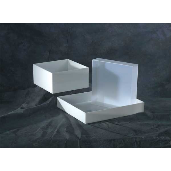 LABORATORY TRAY 4X26X22 POLYPROPYLENE