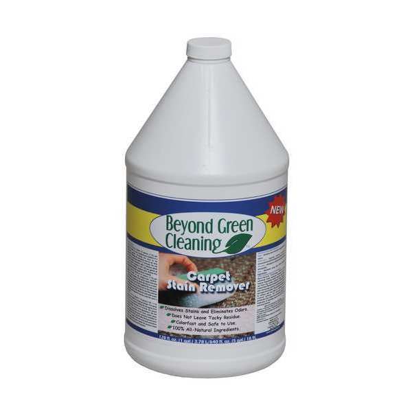 Spot and Stain Remover, Odorless, PK4