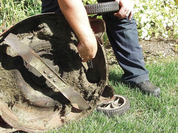 Mower deck scraper, 8