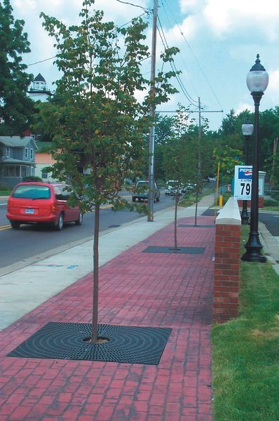 Tree Grate, Round, Recycled Plastic, 5 ft.