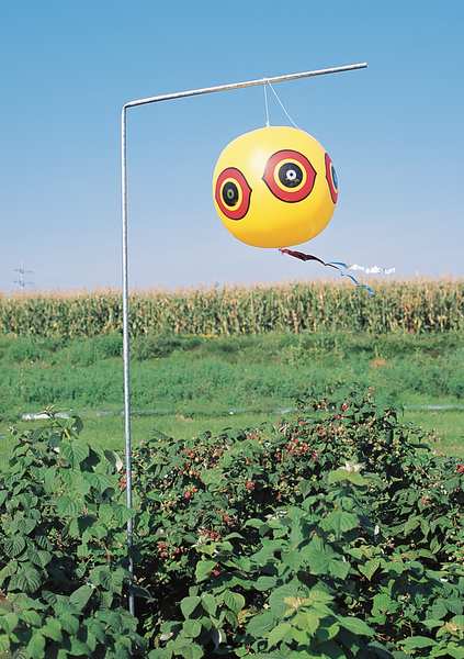 Visual Bird Repellers, Scare Eyes, Black
