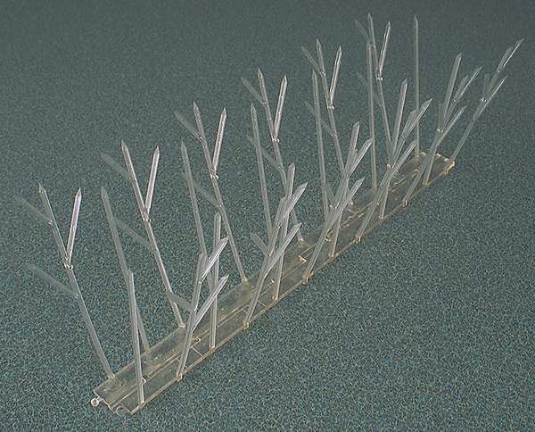 Bird Repellent Spikes, 10 ft. L