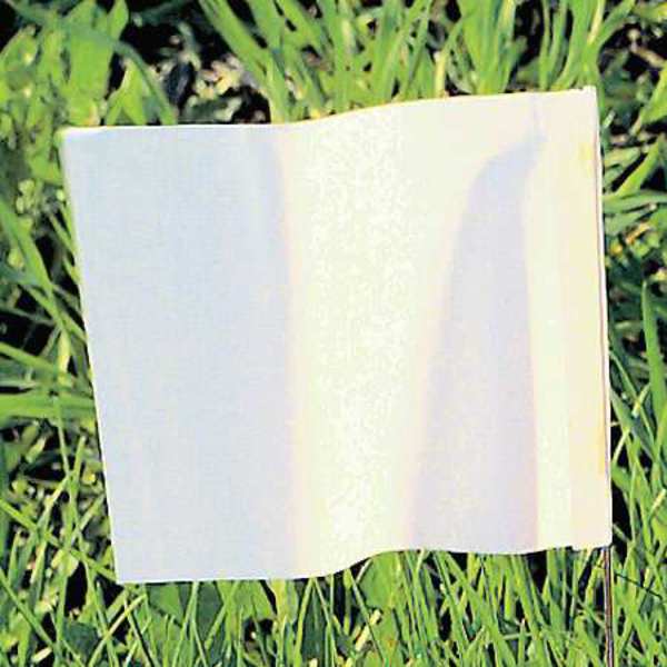 Marking Flag, White, Blank, PVC, PK100