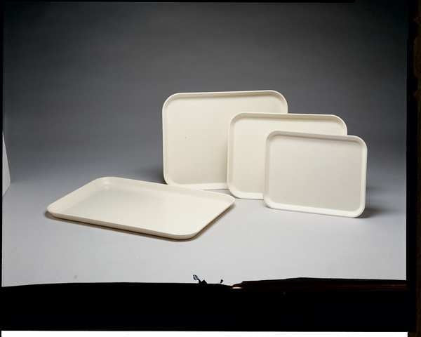 Tray, Chemical Resistant, 3/4 x 16 x 22 In