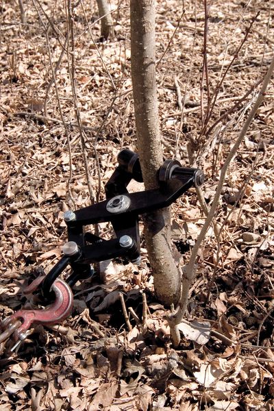 Tree Remover Brush Grubber