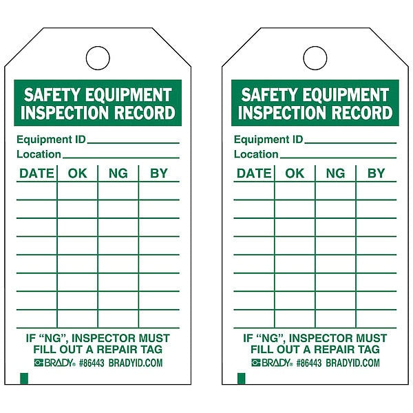 Saf Eapt Inspection Rcd Tag, Grn/Wht, PK10