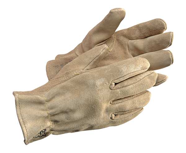 Heat Resistant Gloves, Buttermilk, L, PR