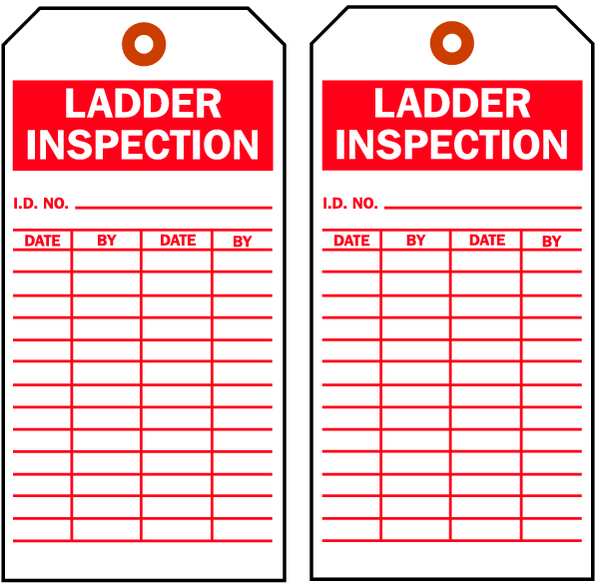 Lad Inspection Tag, 5-3/4 x 3 In, PK100