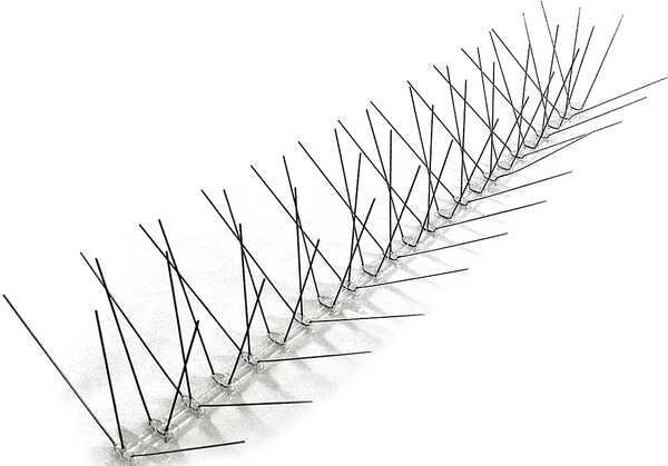 Bird Repellent Spikes, 10 ft. L
