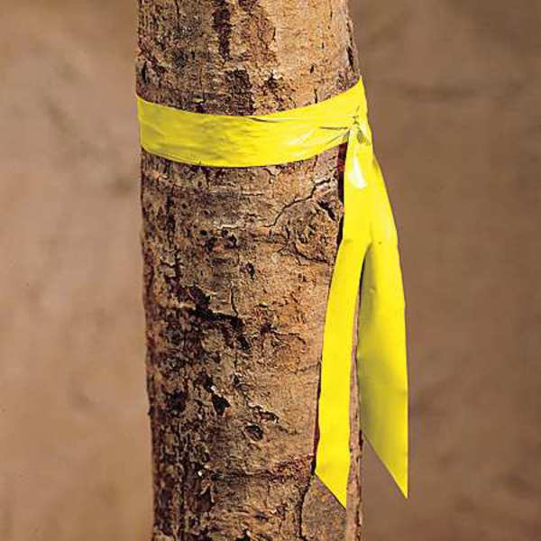 Taffeta Flagging Tape, Yellow, 300ft x 1In