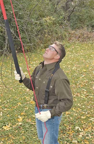 Neck Support System, Polyurethane Foam
