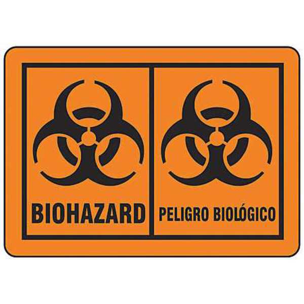 Biohazard Label, 5 In. H, 3-1/2 In. W, PK25