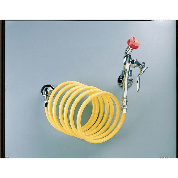 Dual Head Drench Hose, Wall Mount, 12 ft.