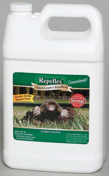 Mole/Gopher Repellent, 1 gal.