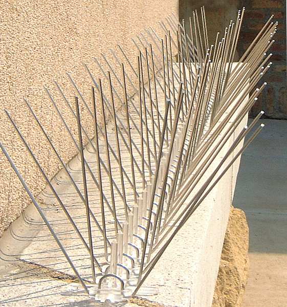Bird Repellent Spikes, 50 ft. L