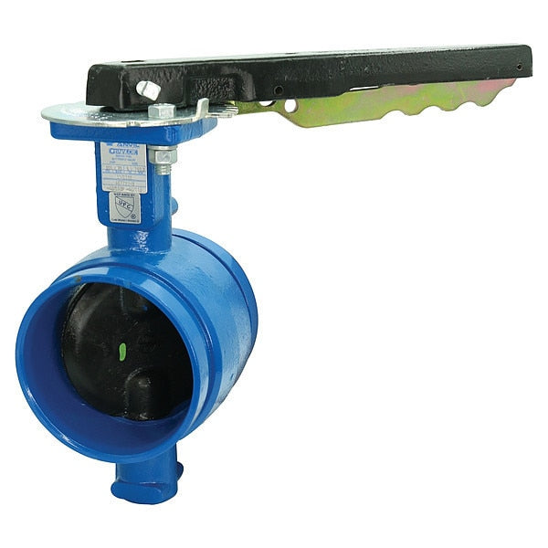 Butterfly Valve, Ductile Iron, 2