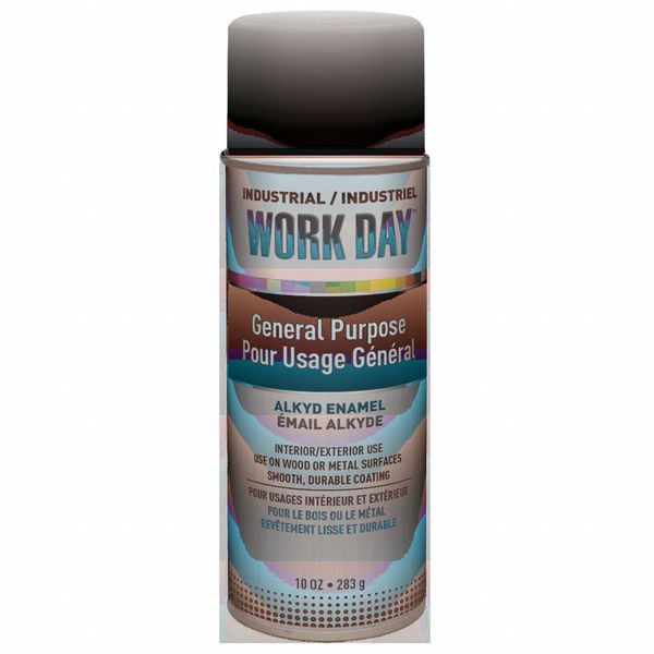 Spray Paint, Flat, White, 10 oz