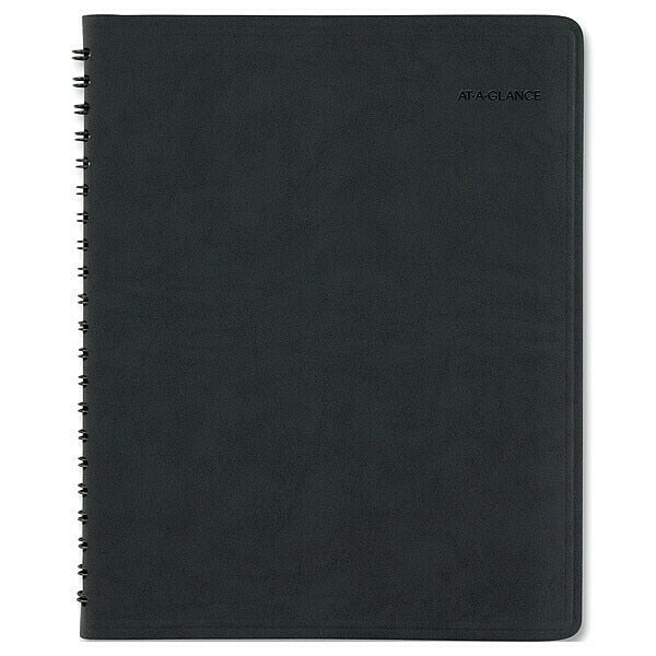Appointment Book, 8-1/4 x 10-7/8