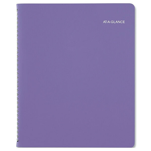 Appointment Book, 8-1/2 x 11