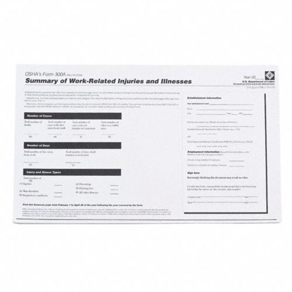 Forms, OSHA 300A Log