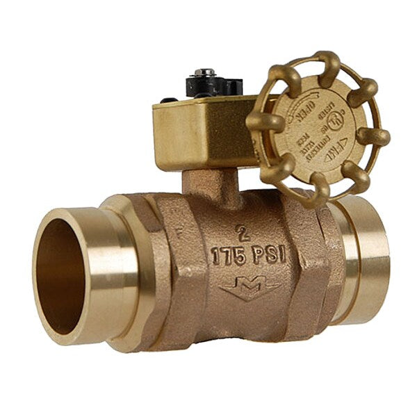 Control Valve, Fire Sprinkler, 2 1/2 In