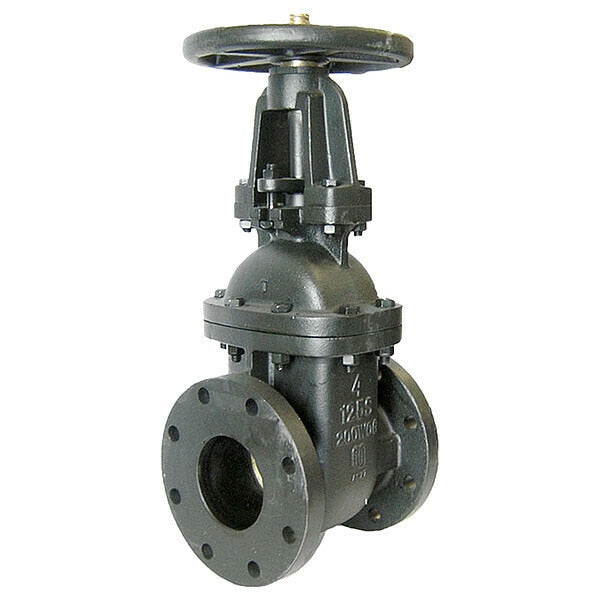 Gate Valve, Class 125, 8 In.