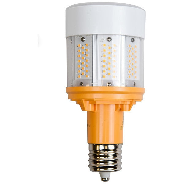 Hazardous Location LED Lamp, 80 W