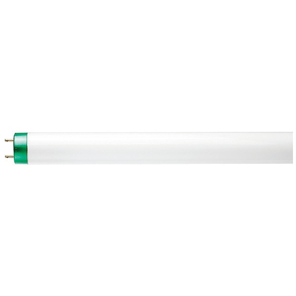 32.5 W, T8, Medium Bi-Pin (G13)