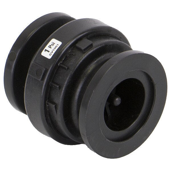 Check Valve
