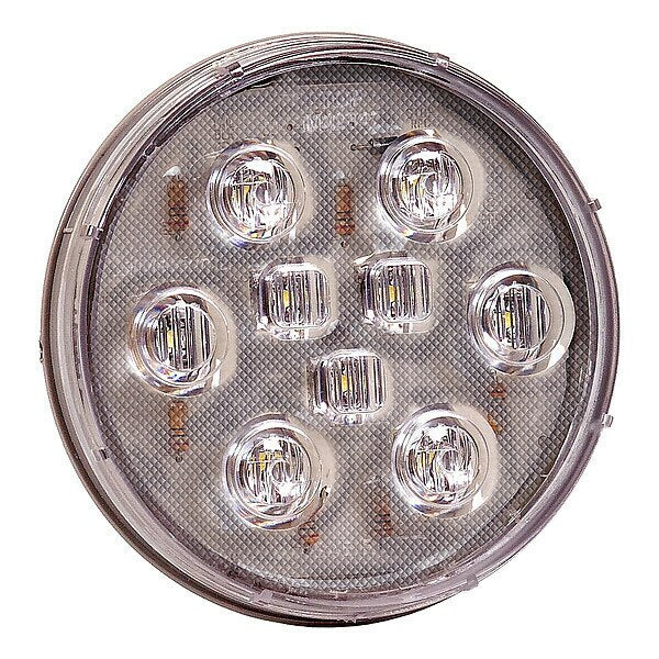 Back-Up Light, Clear, Oval, 0.5 A
