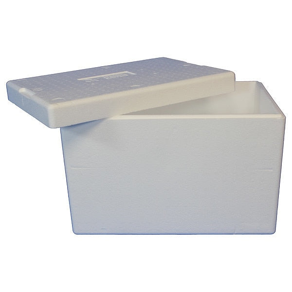 Insulated Overnight Shipping Foam & Carton, 1-2 Day, Length: 22-3/4